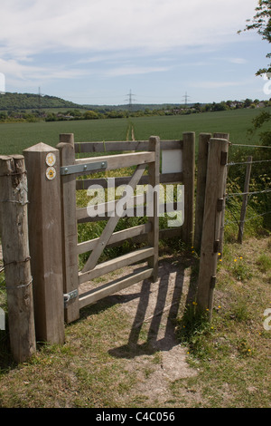 Un montant à la recherche sur un champ à Wendover où la liaison ferroviaire à grande vitesse (HS2) sera construit. Dans la distance est Wendover Woods Banque D'Images