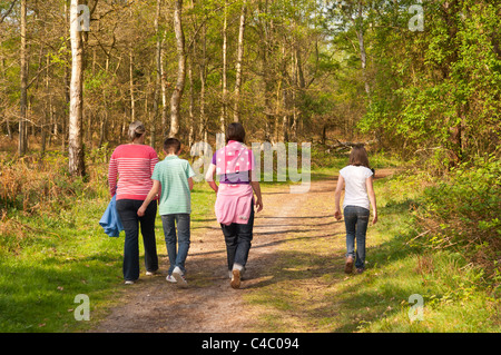 Balades en famille dans les bois à Pwllheli Heath , Suffolk , Angleterre , Angleterre , Royaume-Uni Banque D'Images