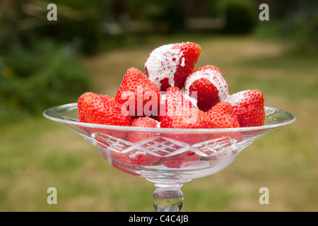 Fraises d'été et crème Banque D'Images