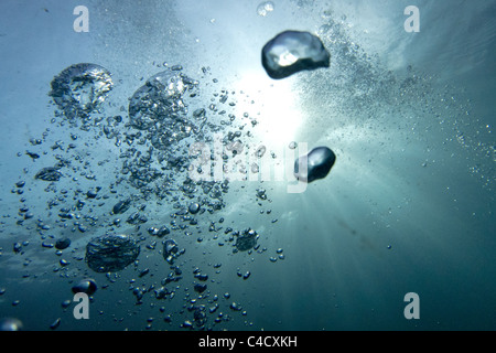 Des bulles d'air vers la surface flottante à partir d'un régulateur du plongeur, reflétant dans la lumière du soleil qui traverse l'eau Banque D'Images