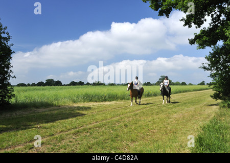 Printemps l'équitation dans la campagne du Hertfordshire. Banque D'Images