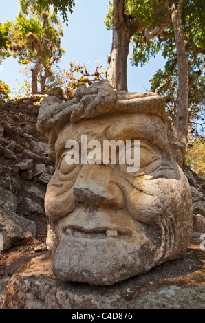 Tête sculptée de old man (Cabeza del Anciano) sur l'acropole de ruines Maya de Copan Banque D'Images