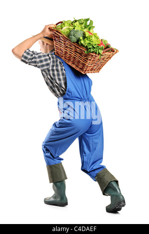 Portrait d'un agriculteur transportant un panier de légumes sur le dos Banque D'Images