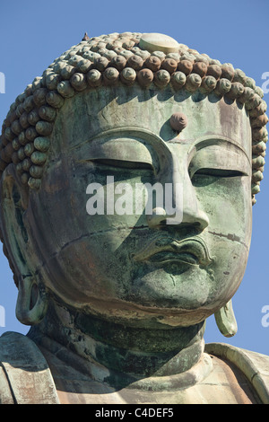 Chef de Daibutsu (Grand Bouddha) statue Kotoku-in, Kamakura, au Japon. Banque D'Images