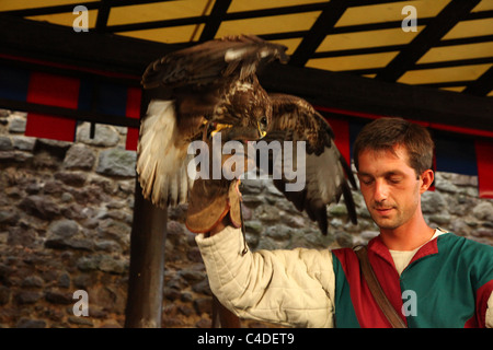 Homme avec hawk, chevalier avec costume traditionnel Banque D'Images