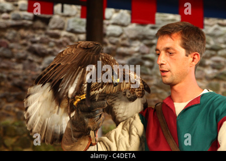 Homme avec hawk, chevalier avec costume traditionnel Banque D'Images