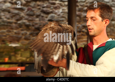 Homme avec hawk, chevalier avec costume traditionnel Banque D'Images