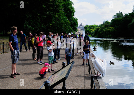 Un garçon Prendre une photo d'un pélican à St James ; Park, Londres, Angleterre, Royaume-Uni Banque D'Images