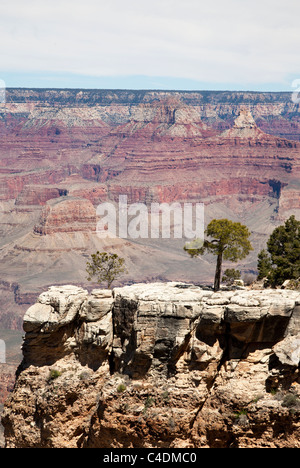 Grand canyon arizona usa montrant les strates et la géologie et des couleurs dans les couches de roche Banque D'Images