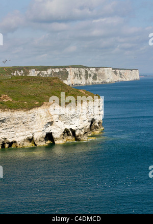 Flamborough Head magnifiques Yorkshire côte pittoresque littoral Banque D'Images