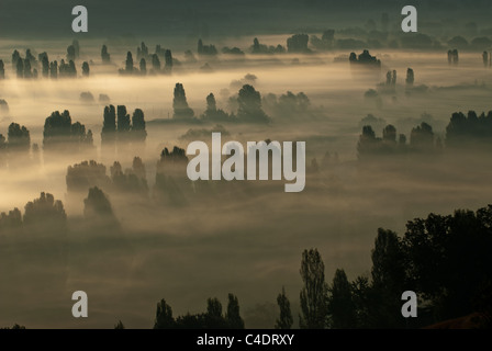 Matin brumeux vue sur une vallée de l'Ombrie, Italie Banque D'Images