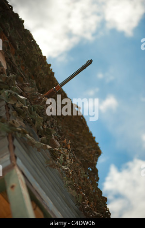 La carabine sur un blind Banque D'Images