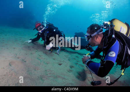 Les amateurs de plongée sous-marine sur fond de sable, l'eau bleue Banque D'Images