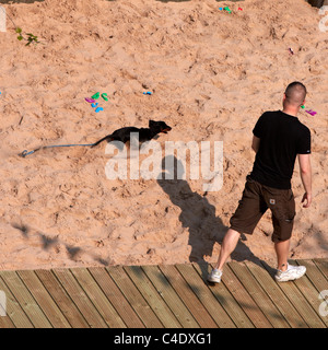 Un promène son chien le long d'une 70 mètres de long plage urbaine Banque D'Images