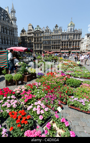 Marché aux fleurs de la Grand Place à Bruxelles Banque D'Images