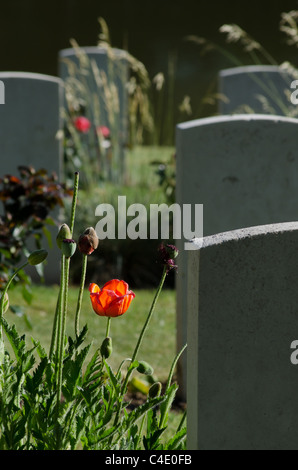 Des sépultures de guerre du Commonwealth britannique et dans Ramparts Cemetery, Ypres Banque D'Images