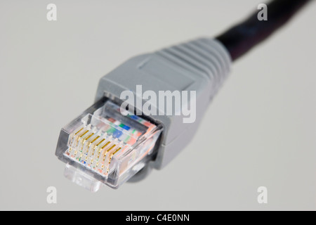 Connecteur Ethernet RJ-45 sur fond blanc Banque D'Images