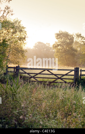La campagne anglaise à l'aube, Lackford Lacs, Suffolk, UK Banque D'Images