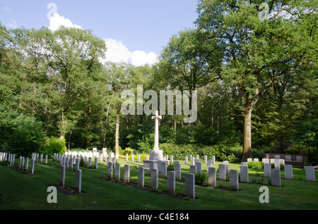 Bois de Ploegsteert, cimetière près d'Ypres, Belgique Banque D'Images