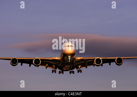 L'Airbus A380 L'atterrissage dans le coucher du soleil Banque D'Images
