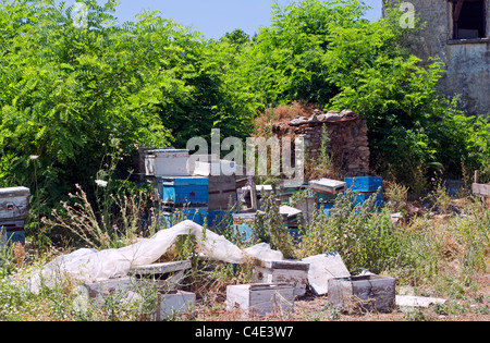 Ancienne anciennes ruches situées dans le champ d'agriculteurs Banque D'Images