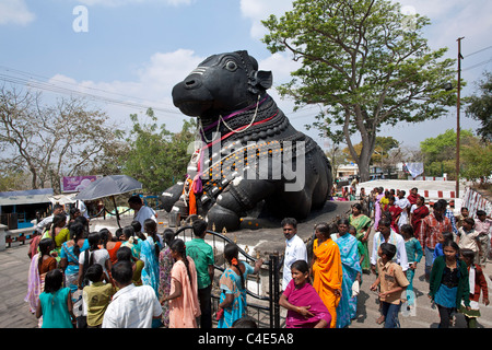 Pèlerins hindous adorant le sacré Nandi Bull (véhicule de Shiva). Chamundi hill. Mysore. L'Inde Banque D'Images