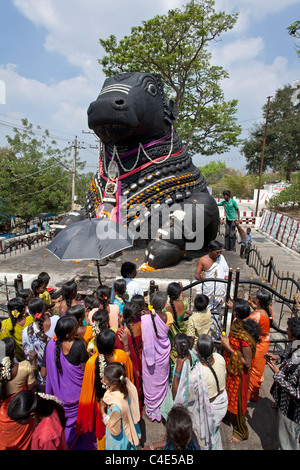 Pèlerins hindous adorant le sacré Nandi Bull (véhicule de Shiva). Chamundi hill. Mysore. L'Inde Banque D'Images