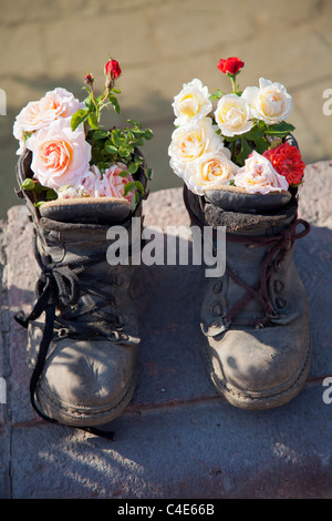 Une paire de vieilles bottes remplies de roses à l'assemblée annuelle et rose garden show à Parque Arauco, Santiago, Chili Banque D'Images