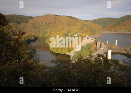 Urfttalsperre im Nationalpark Eifel. Banque D'Images