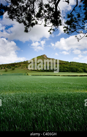 Roseberry Topping au soleil, North York Moors, Angleterre Banque D'Images