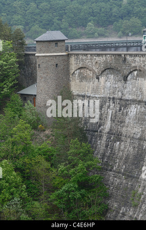 Urfttalsperre im Nationalpark Eifel. Banque D'Images