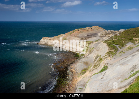 Vue du haut de la falaise électrique Ness, Côte Est, Yorkshire, Angleterre Banque D'Images