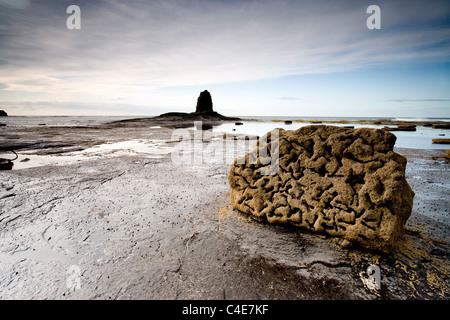 Nab, Saltwick Black Bay, East Coast Yorkshire, Angleterre Banque D'Images