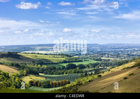 Campagne anglaise, paysage de Dorset avec vue panoramique sur les collines ondulantes, Angleterre, Royaume-Uni en été Banque D'Images