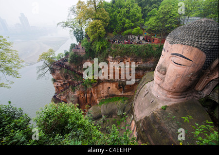 Les 71 mètres de Grand Bouddha de Leshan, le plus grand Bouddha de pierre dans le monde. Le Sichuan, Chine Banque D'Images