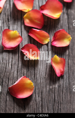 Des pétales de rose sur le fond de bois Banque D'Images