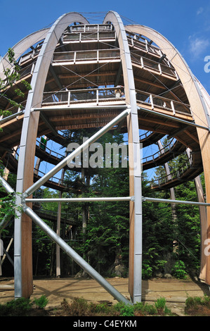 Baumwipfelpfad, une tour en bois construction de la Tree Top walk dans le Parc National de la forêt bavaroise, Grafenau, Allemagne Banque D'Images