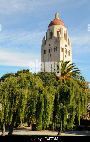 Hoover Tower - l'Université de Stanford Banque D'Images