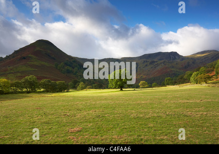 Une scène de Dovedale dans le Lake District Banque D'Images