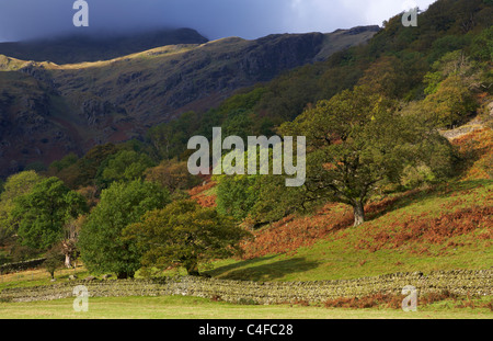 Une scène de Dovedale dans le Lake District Banque D'Images