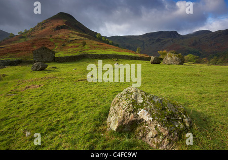 Une scène de Dovedale dans le Lake District Banque D'Images