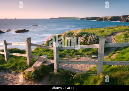 Stile en bois sur Cornish clifftops près de Porthcothan Bay, South West Coast Path long distance footpath, Cornwall, Angleterre. Banque D'Images