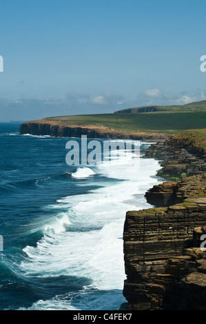 Skea dh BIRSAY Point côte nord des Orcades seacliffs surf vagues côte britannique littoral écossais Banque D'Images