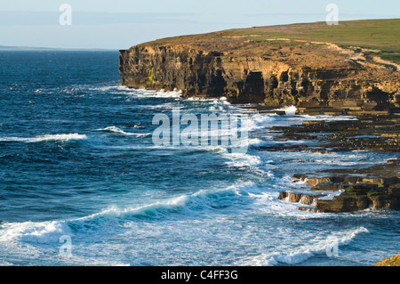 Dh BIRSAY ORKNEY Skea Point north coast surf vagues qui seacliffs Banque D'Images