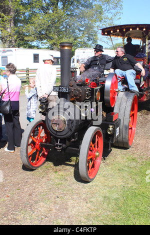 'L'Étoile du County Down' machine à vapeur à un rallye à vapeur, dans le comté d'Antrim, en Irlande du Nord. Banque D'Images