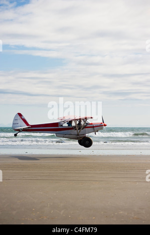 Piper Super Cub voler au-dessus de la plage de l'île de Hinchinbrook, Alaska- 2011 Valdez, Alaska Fly-in Banque D'Images