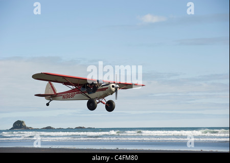 Piper Super Cub voler au-dessus de la plage de l'île de Hinchinbrook, Alaska- 2011 Valdez, Alaska Fly-in Banque D'Images