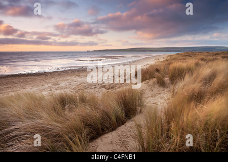 Dunes de sable balayées par le vent sur la plage de Studland Bay, Dorset, Angleterre. L'hiver (février) 2011. Banque D'Images