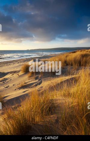 Studland Beach avec vue sur Old Harry Rocks, Dorset, Angleterre. L'hiver (février) 2011. Banque D'Images