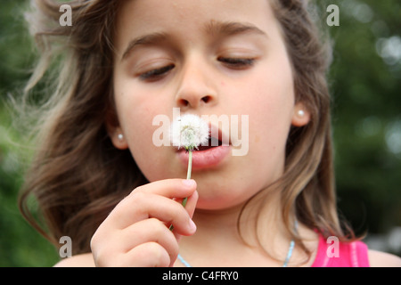 Young Girl blowing graines de pissenlit Banque D'Images